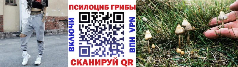 Галлюциногенные грибы Psilocybe  Купить где  Пролетарск 